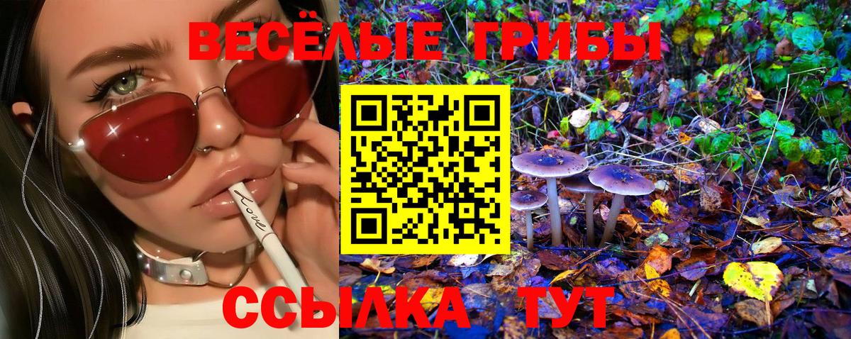 Псилоцибиновые грибы MAGIC MUSHROOMS Махачкала